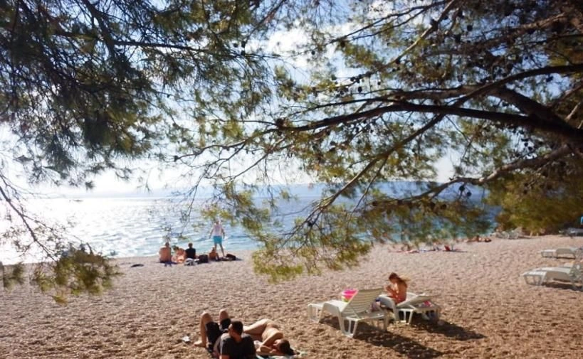 زمین شهری در برلا، کرواسی