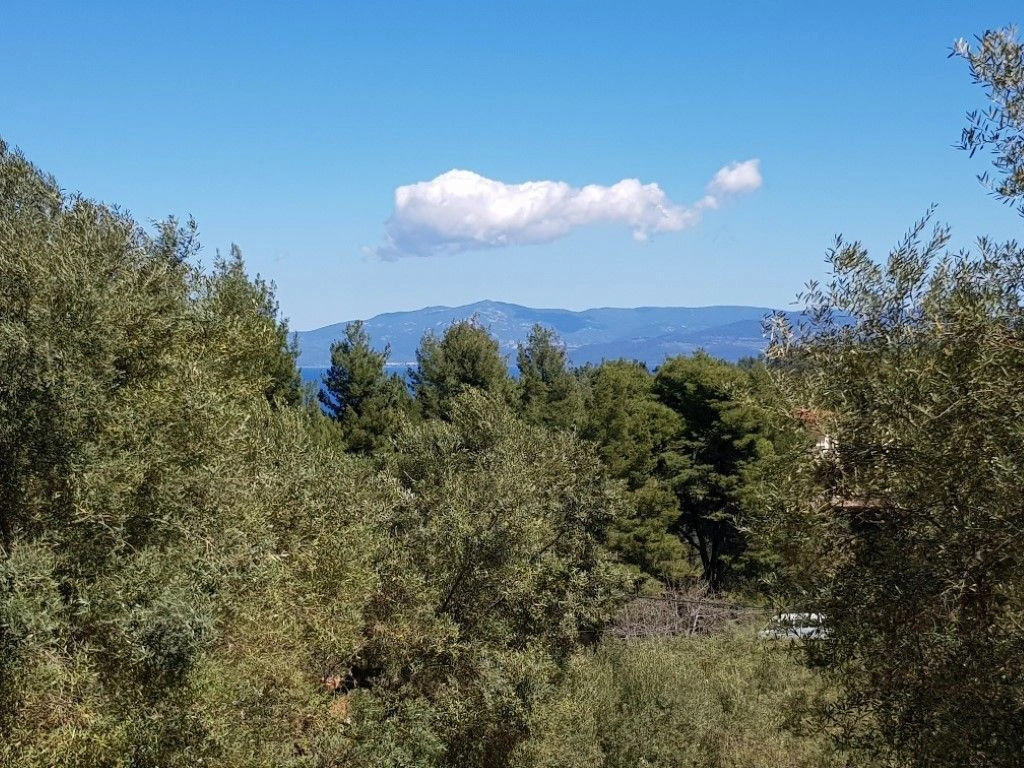 Terrain en Halkidiki, 2002 m²