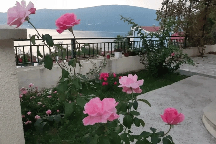 Квартира 33 м² с террасой в Херцег-Нови