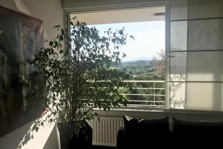 位于克罗地亚萨格勒布 Šestine 区的 160m2 优质公寓