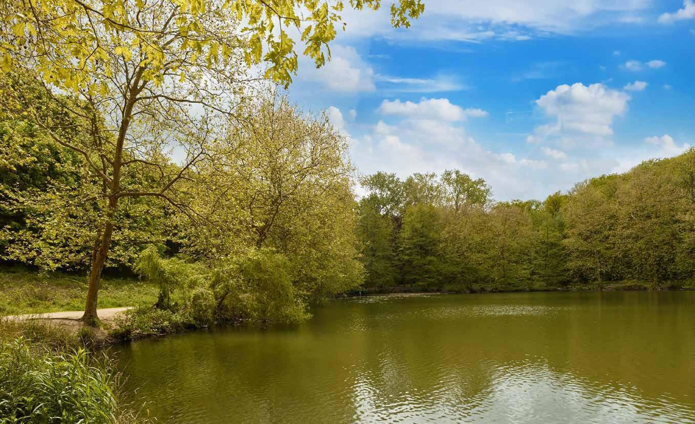 Appartements dans un complexe résidentiel moderne en Île-de-France, France