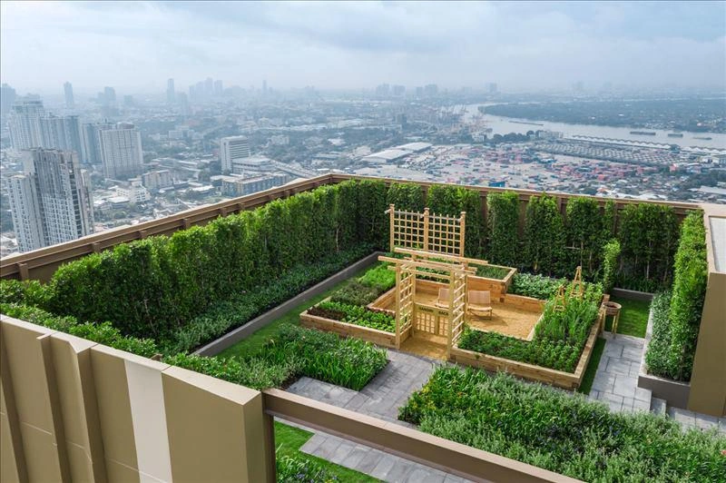 Apartments in a residential complex in Bangkok, Thailand