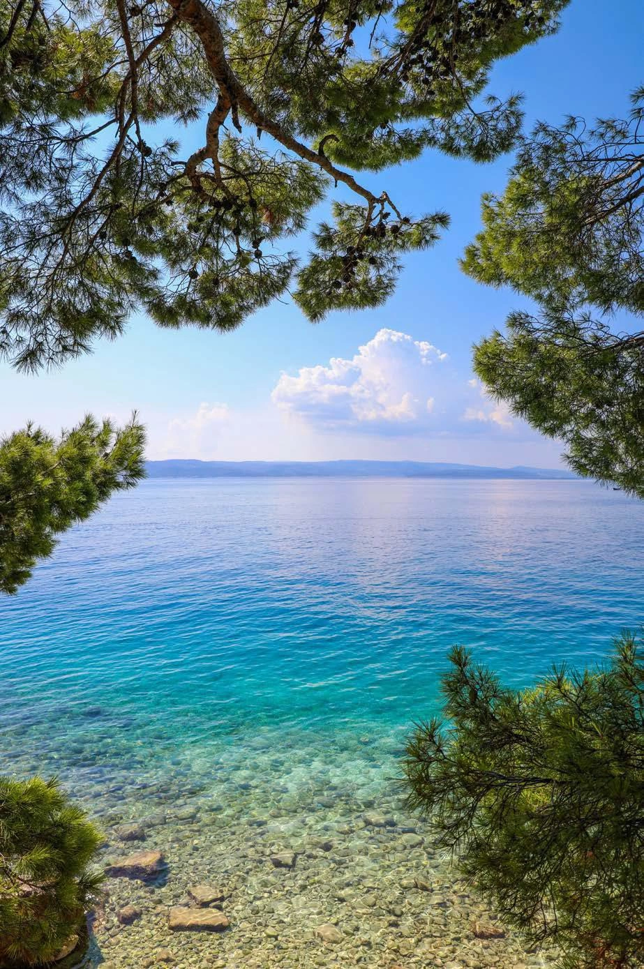 Apartments in a residential complex in Tuzla, Istanbul, Turkiye