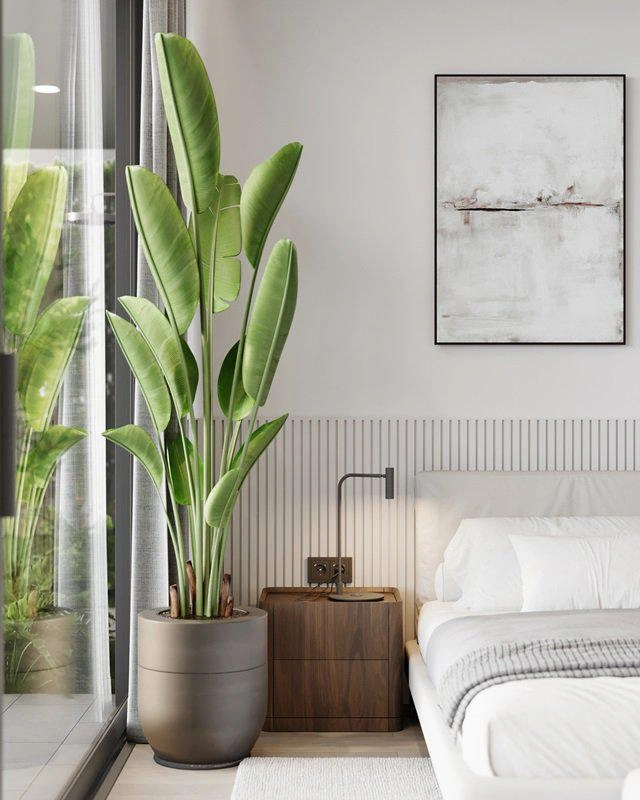 فلل في مجتمع مسوَّر خاص في كو كايو، بوكيت، تايلاند