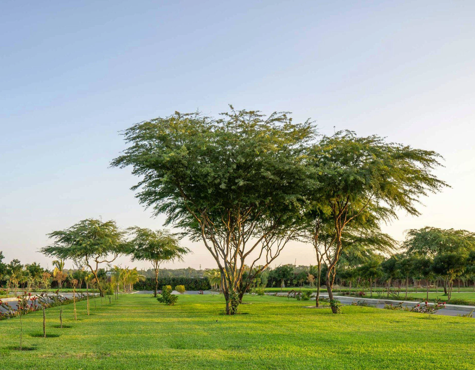 Arabian Hills Estate Villas — Abu Dhabi, United Arab Emirates