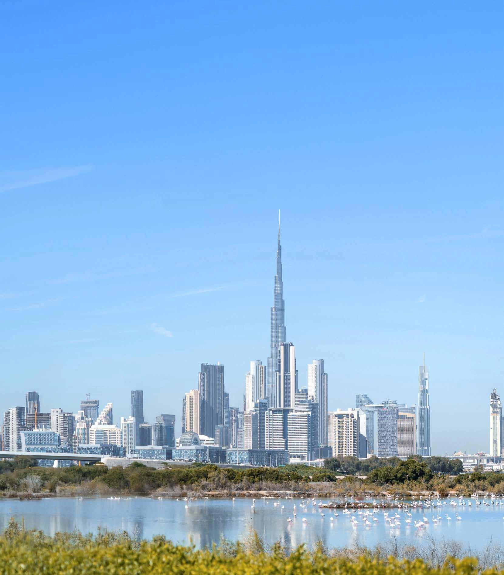 شقق ذا إيليمنت — دبي، الإمارات العربية المتحدة