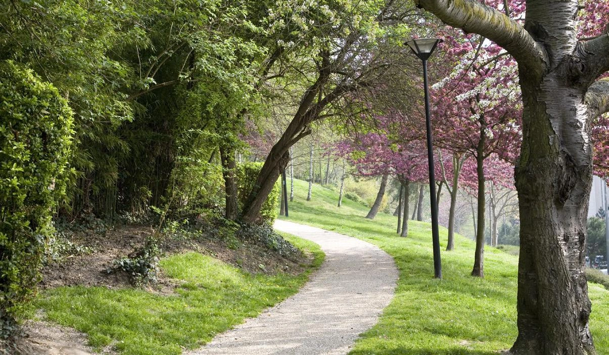 Apartments in a modern residential complex in Suresnes, France