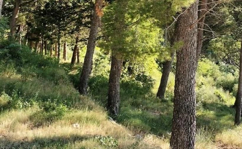 زمین شهری در برلا، کرواسی