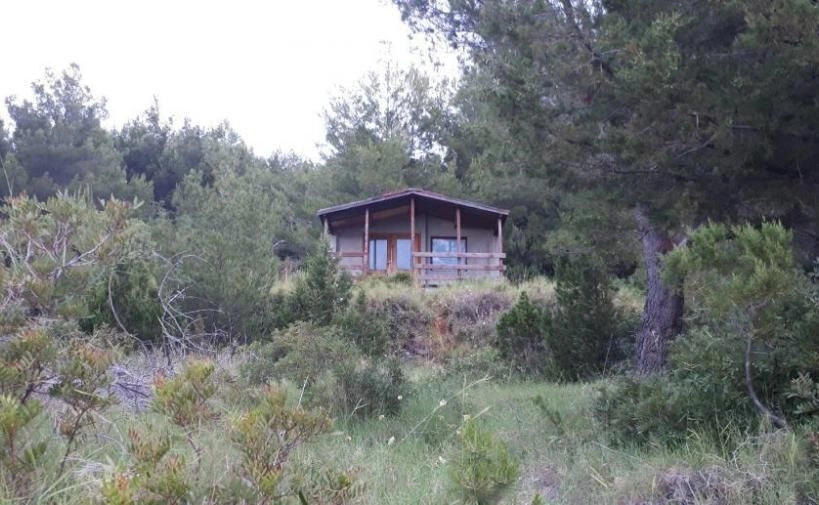 Agricultural plot on the 1st line of the island of Hvar, Croatia