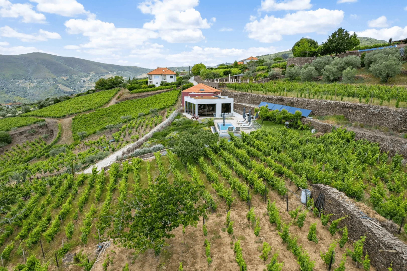 Farmhouse in the heart of the Alto Douro wine region