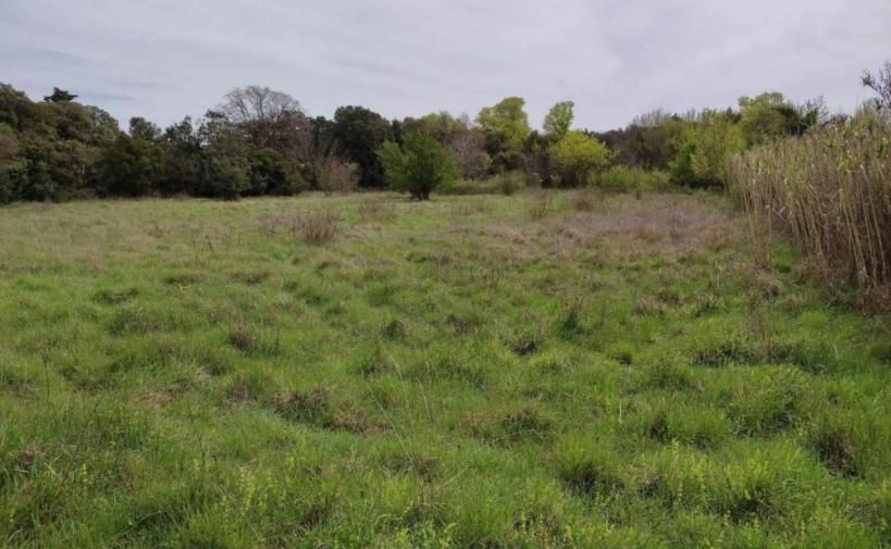 Land for construction in Stinjan, Croatia