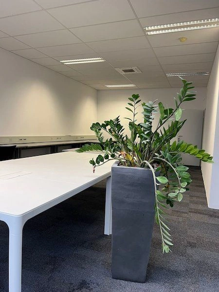 Espace de bureau dans le quartier prestigieux de Ljubljana