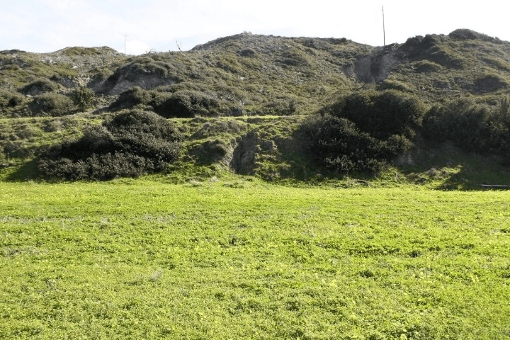 Terrain de 4320 m² à Rhodes
