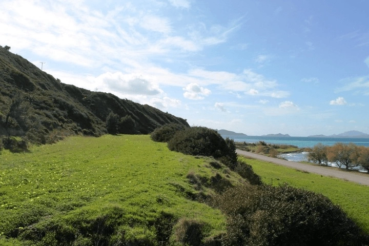 Terrain de 4320 m² à Rhodes