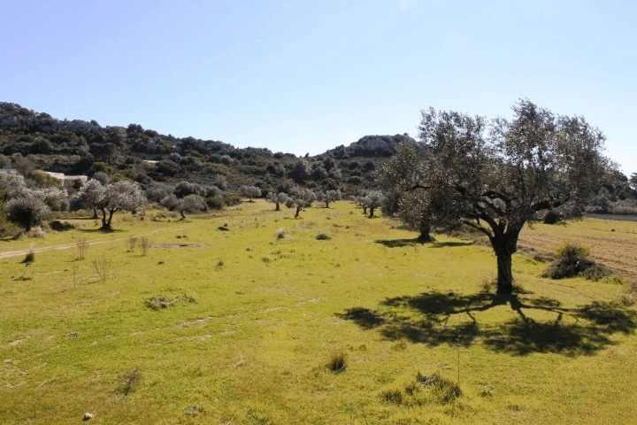 Terrain de 17500 m² à Rhodes