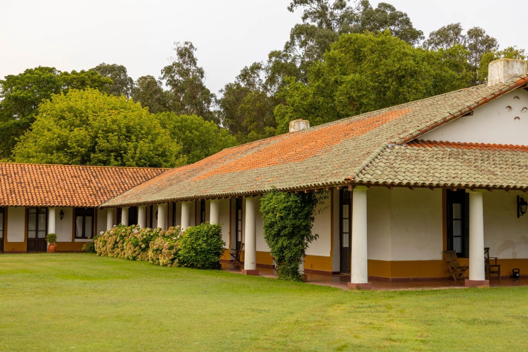 阿根廷布宜诺斯艾利斯舒适住宅,6+1户型