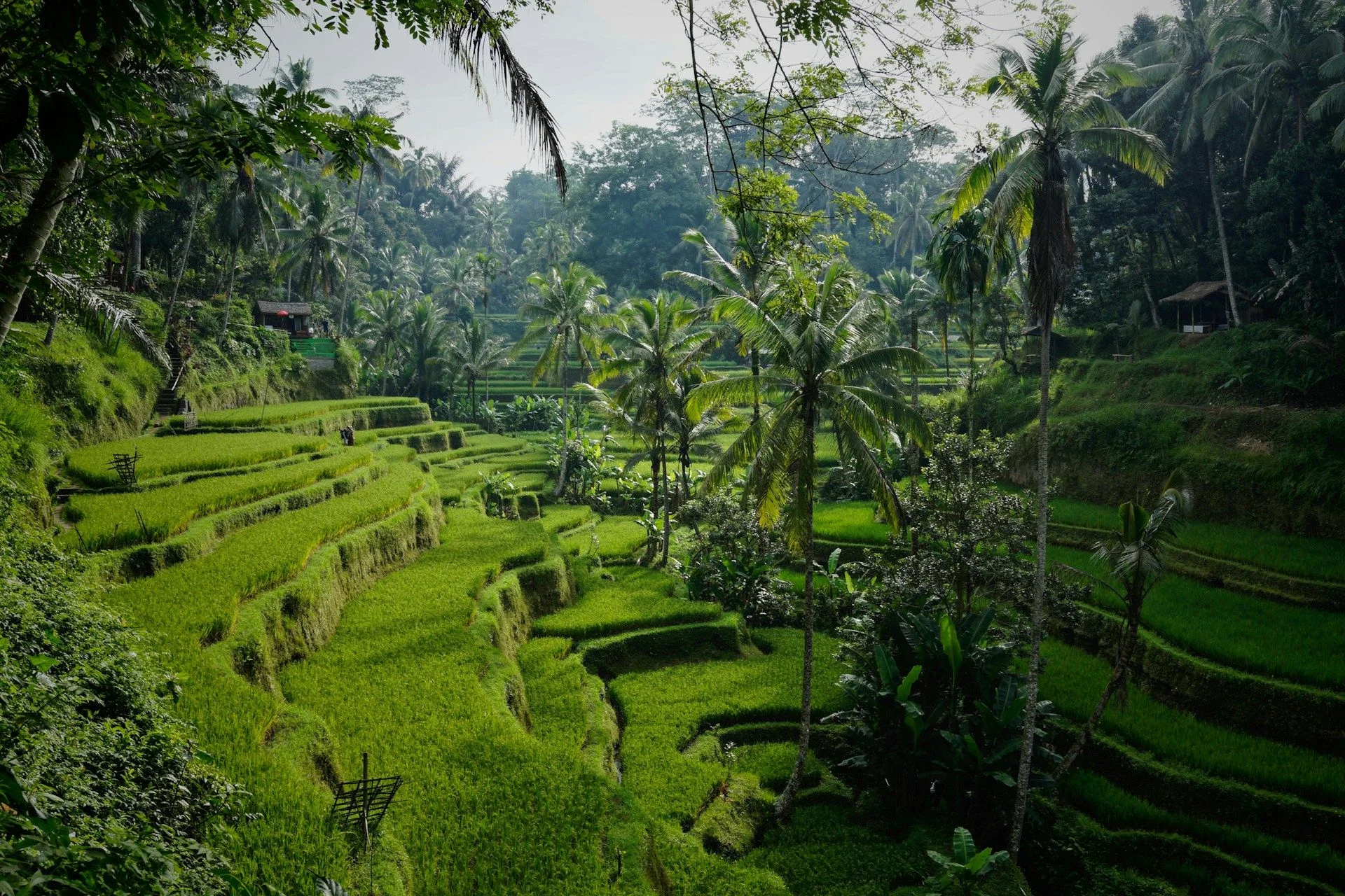 Invista em imóveis em Bali – Melhores propriedades para investimento | VelesClub Int.
