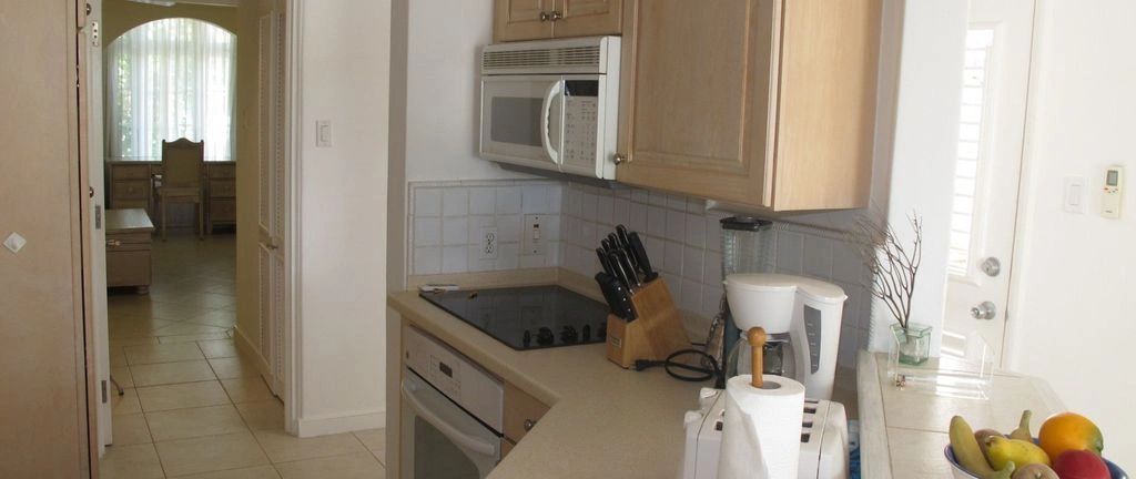 Luxurious apartment 1+1 in Speightstown, Barbados (#OBb 20-19)