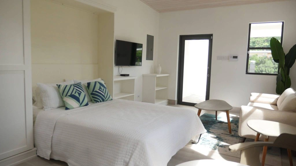 Renovated house 762 m2 in Holetown, Barbados (#OBb 20-25)