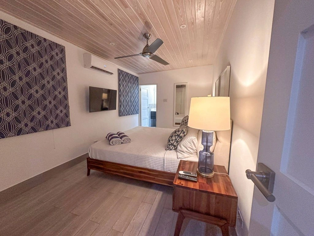 Renovated house 762 m2 in Holetown, Barbados (#OBb 20-25)