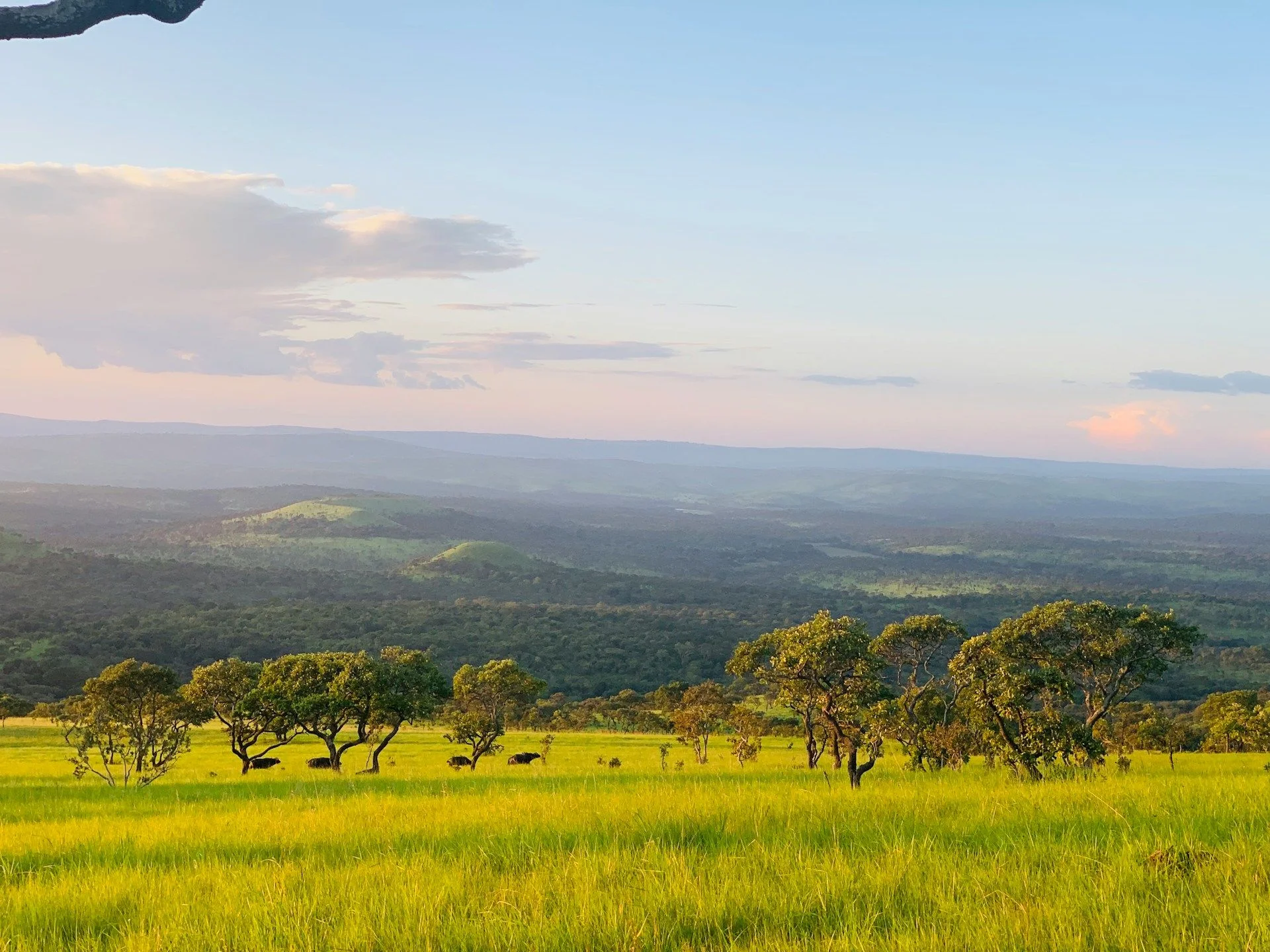 Apartments and Houses from owners in Burundi | VelesClub Int.