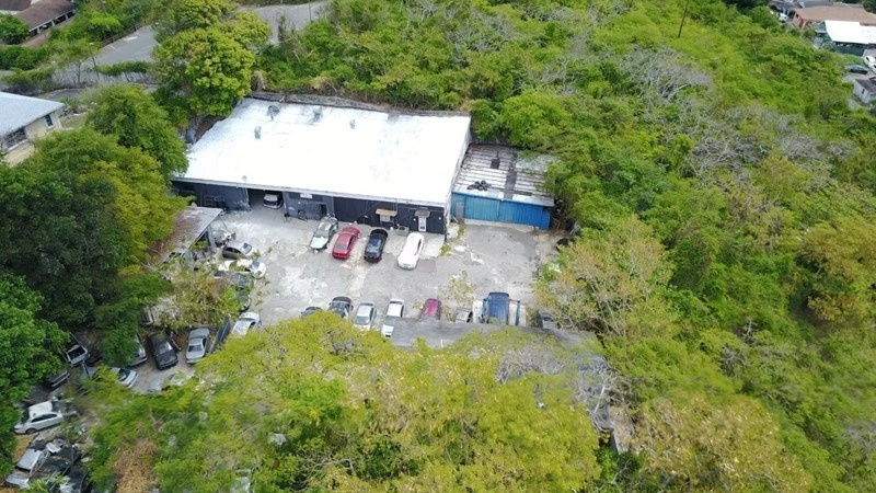 高效商用房产 1977 m2,位于巴哈马拿骚