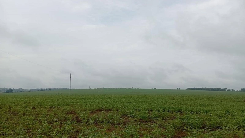 高效农场 / 牧场 / 葡萄园 3000000 m2,位于巴西萨尔瓦多