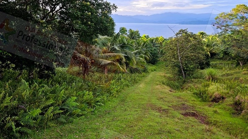 功能性农场/牧场/葡萄园 2069 m2,位于斐济Savusavu