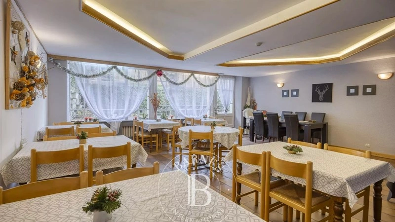 Hotel 416 m² en Auvergne-Rhône-Alpes, Francia