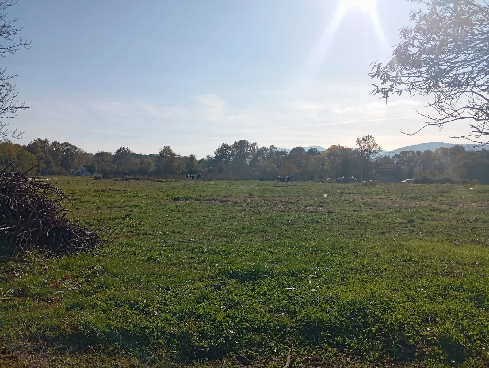 Grundstück von 5500 m² für den Bau von Ferienhäusern in Danilovgrad, Montenegro