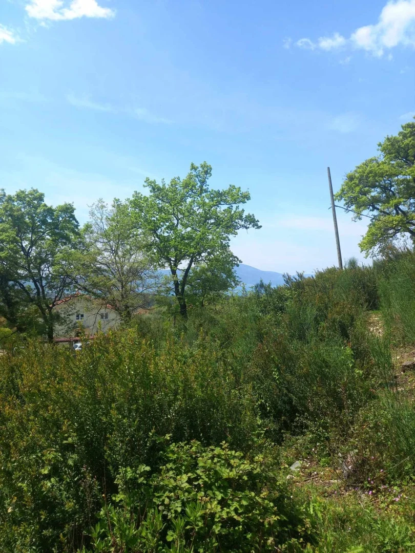 Plot of 1072 m2 for construction of private house in Kavač, Montenegro