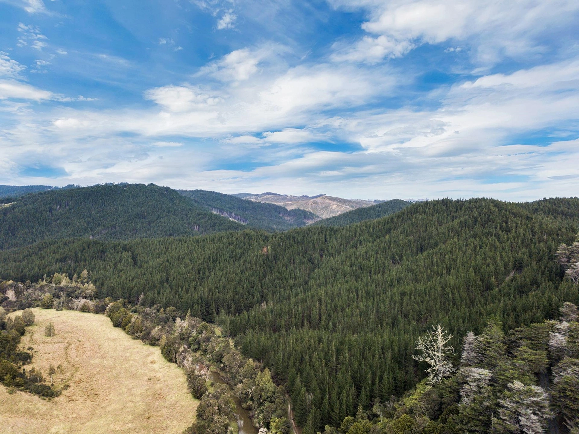新西兰奥克兰现代农场