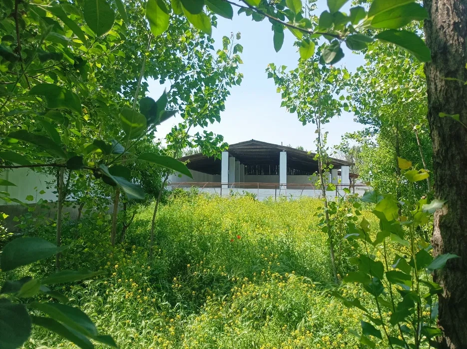 乌兹别克斯坦纳曼干 41 m² 多功能商用房