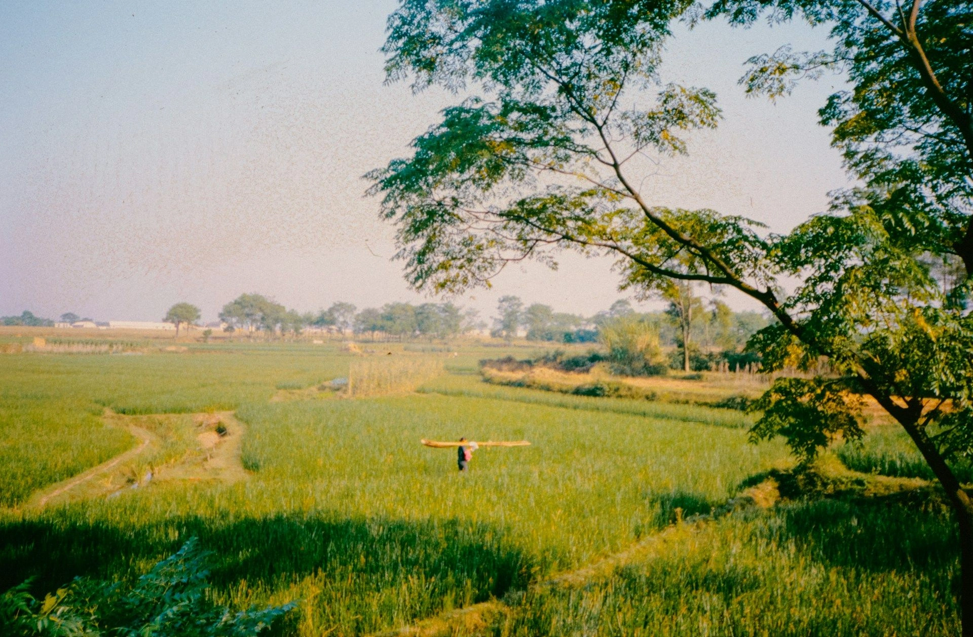 image city Chitungwiza