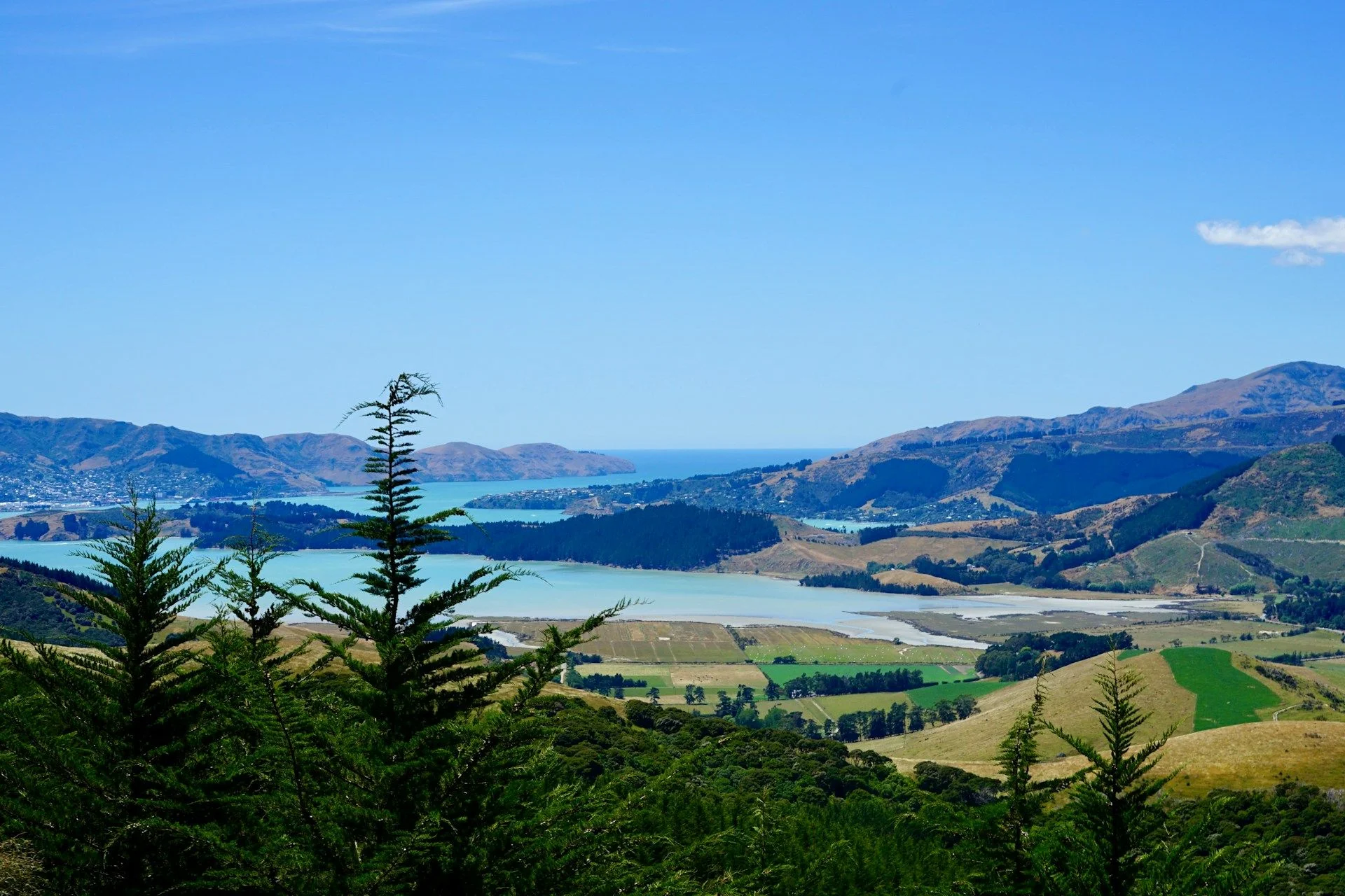 Compra bienes raíces de segunda mano en Christchurch, Nueva Zelanda | VelesClub Int.
