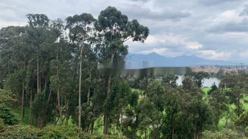 Modern apartment 116 m2 in Bogota, Colombia