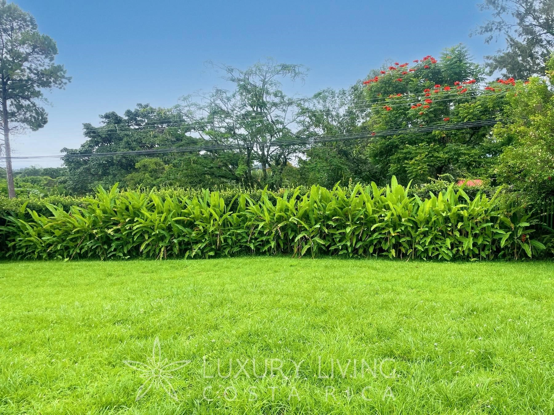 Prospective plot 3363 m² in San Jose City, Costa Rica