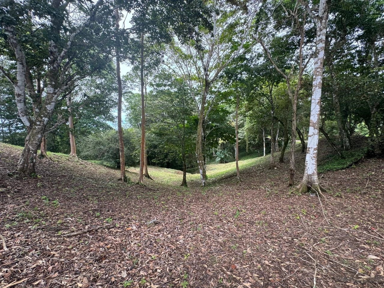 قطعة أرض كبيرة بمساحة 550,372 م² في مدينة سان خوسيه، كوستاريكا