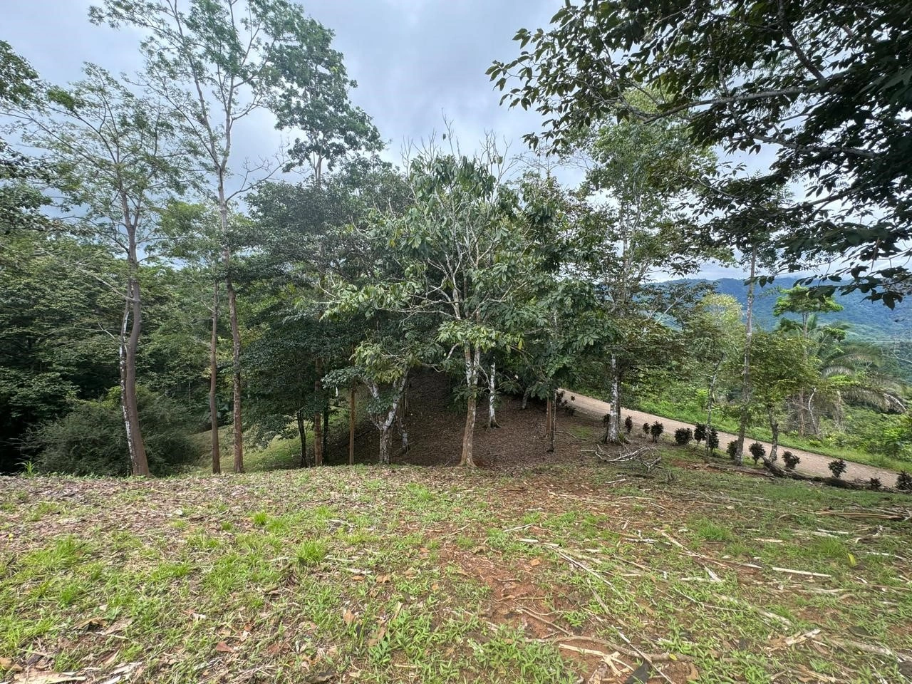 قطعة أرض كبيرة بمساحة 550,372 م² في مدينة سان خوسيه، كوستاريكا