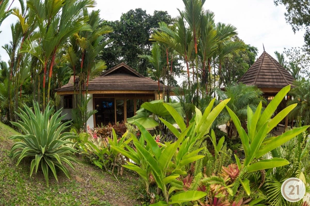 Spacious villa 900 m2 in Limon, Costa Rica