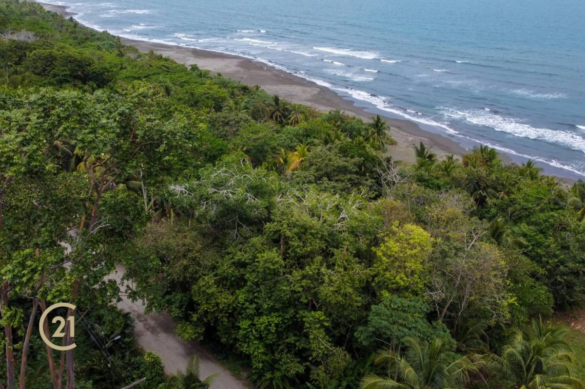 House 267 m2 in Limon, Costa Rica