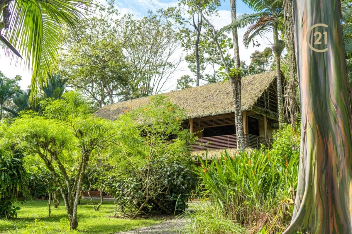 House 267 m2 in Limon, Costa Rica