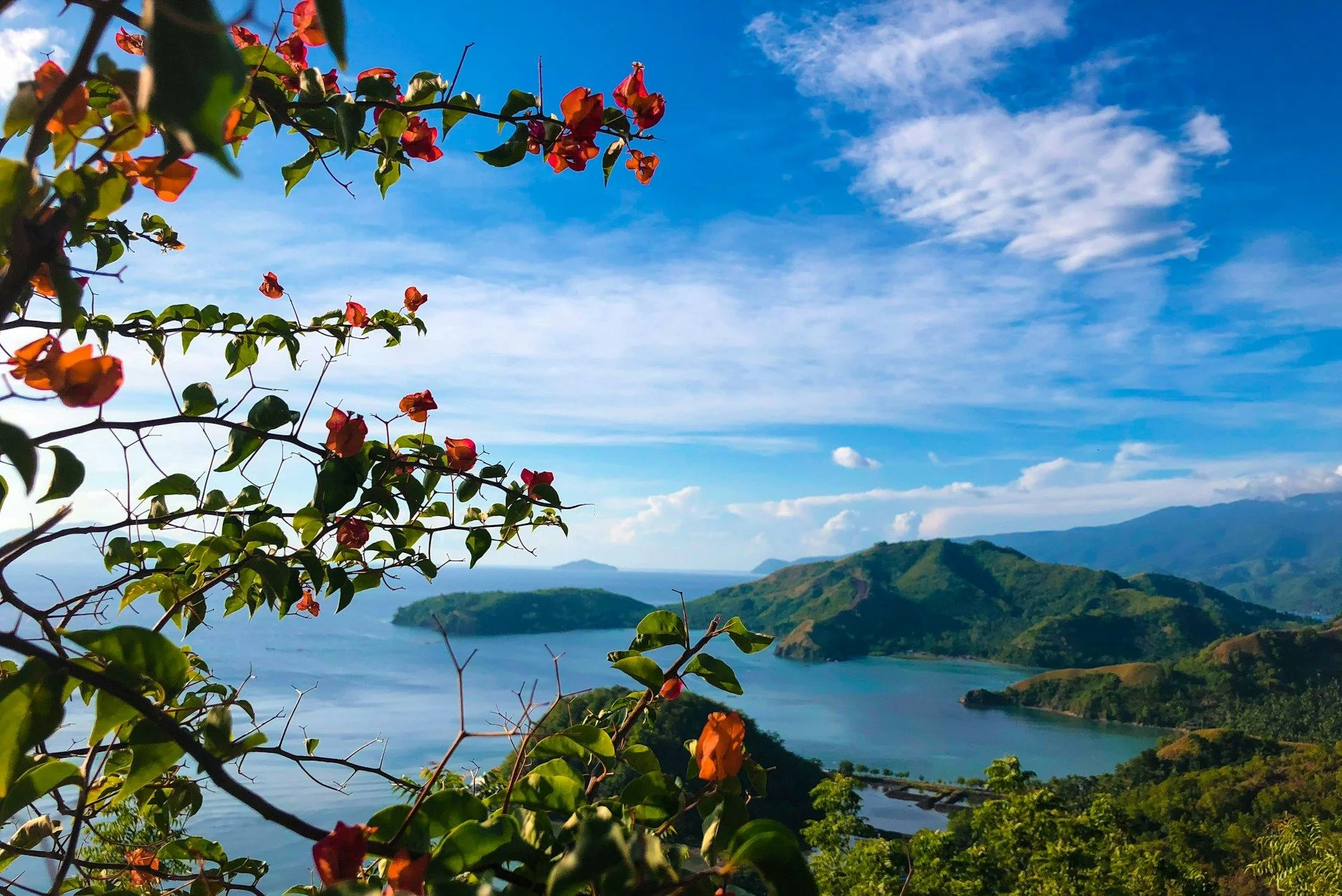 Prenotazione di tour privati con guida a Davao – Guide locali esperte | VelesClub Int.