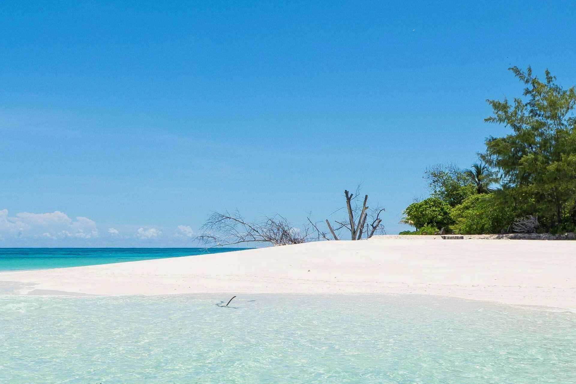 image city جزيرة دينيس