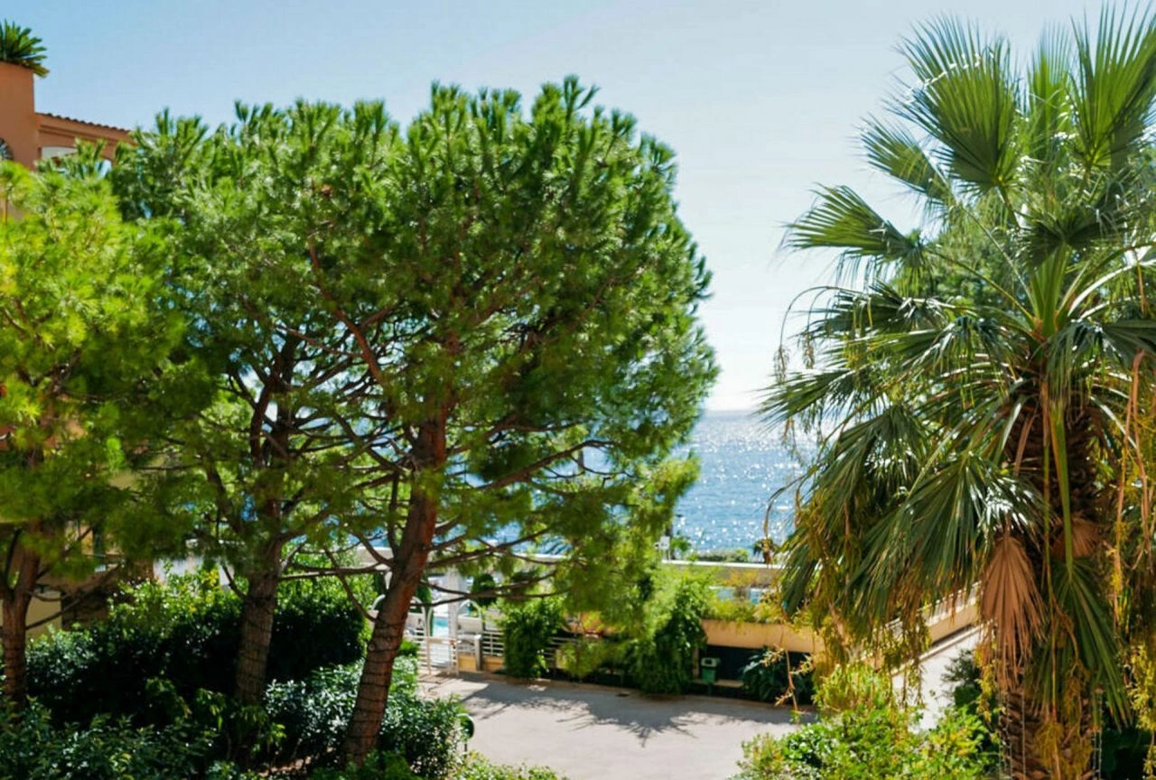 Luxury apartment 245 m2