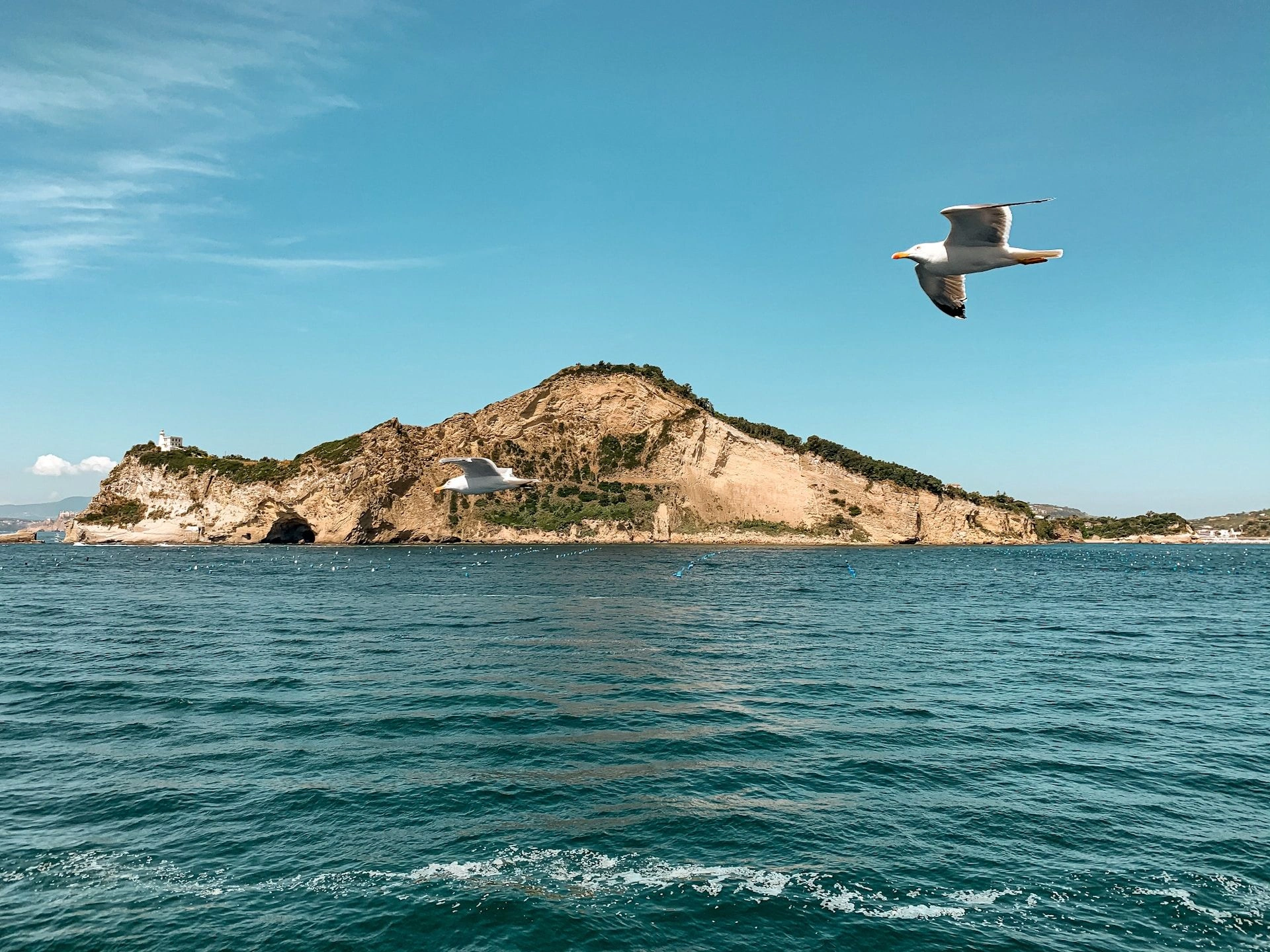 image city Flying Fish Cove