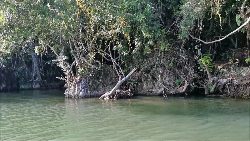 危地马拉 Rio Dulce,13000 m² 大型地块