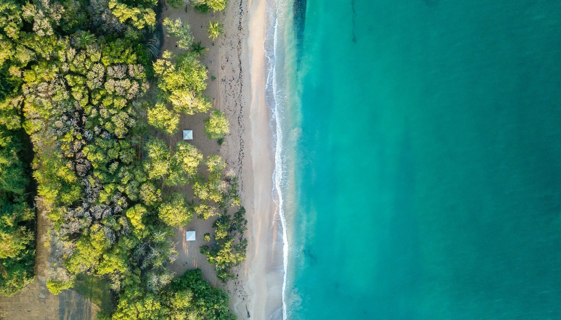 Investir dans l'immobilier en Guadeloupe – Meilleures propriétés d'investissement | VelesClub Int.