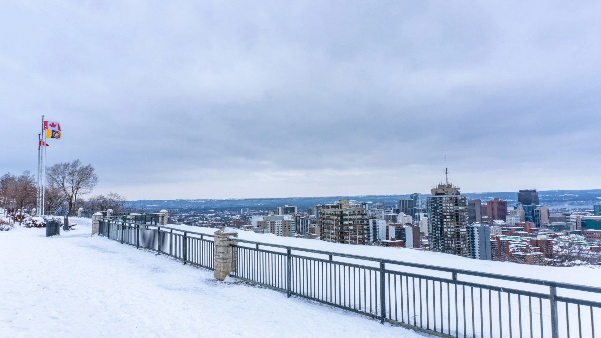 image city हैमिल्टन सिटी