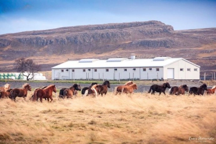 Просторный дом 200 m2 в Eystahir, Исландия